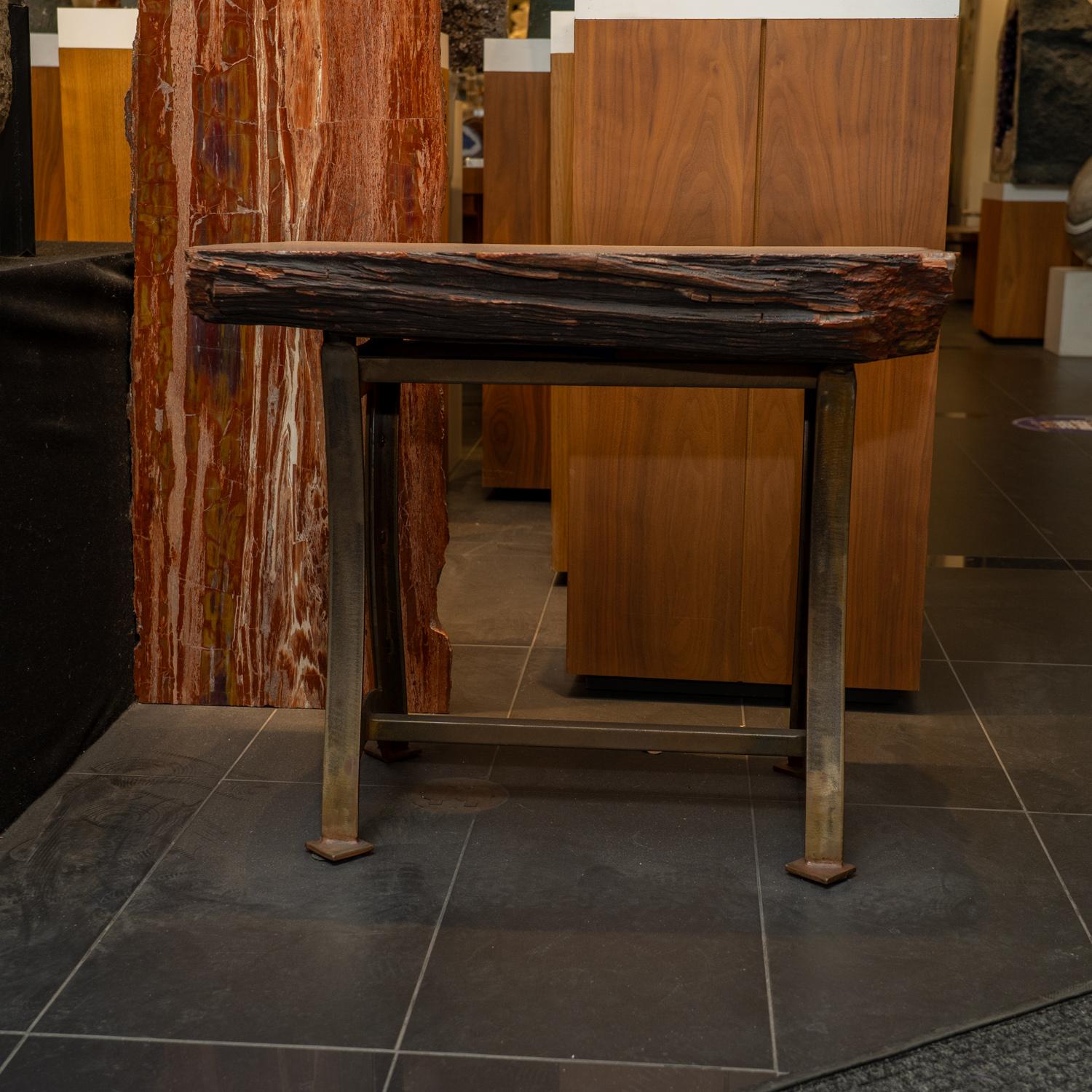 Echtes poliertes versteinertes Wood Wood Beistelltisch im Zustand „Hervorragend“ im Angebot in New York, NY