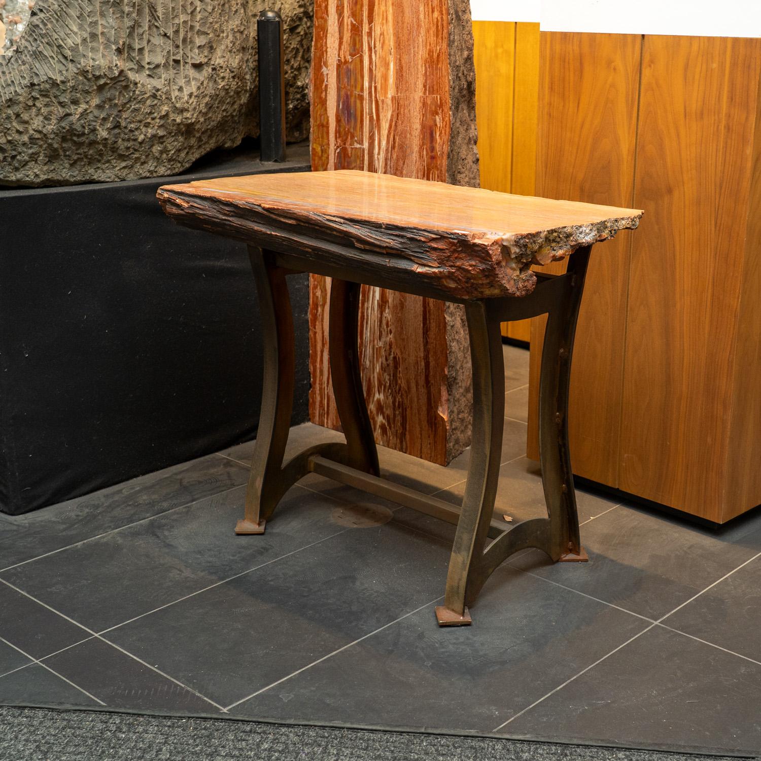 Echtes poliertes versteinertes Wood Wood Beistelltisch (18. Jahrhundert und früher) im Angebot