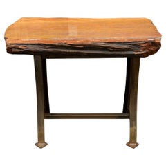 Genuine Polished Petrified Wood Side Table