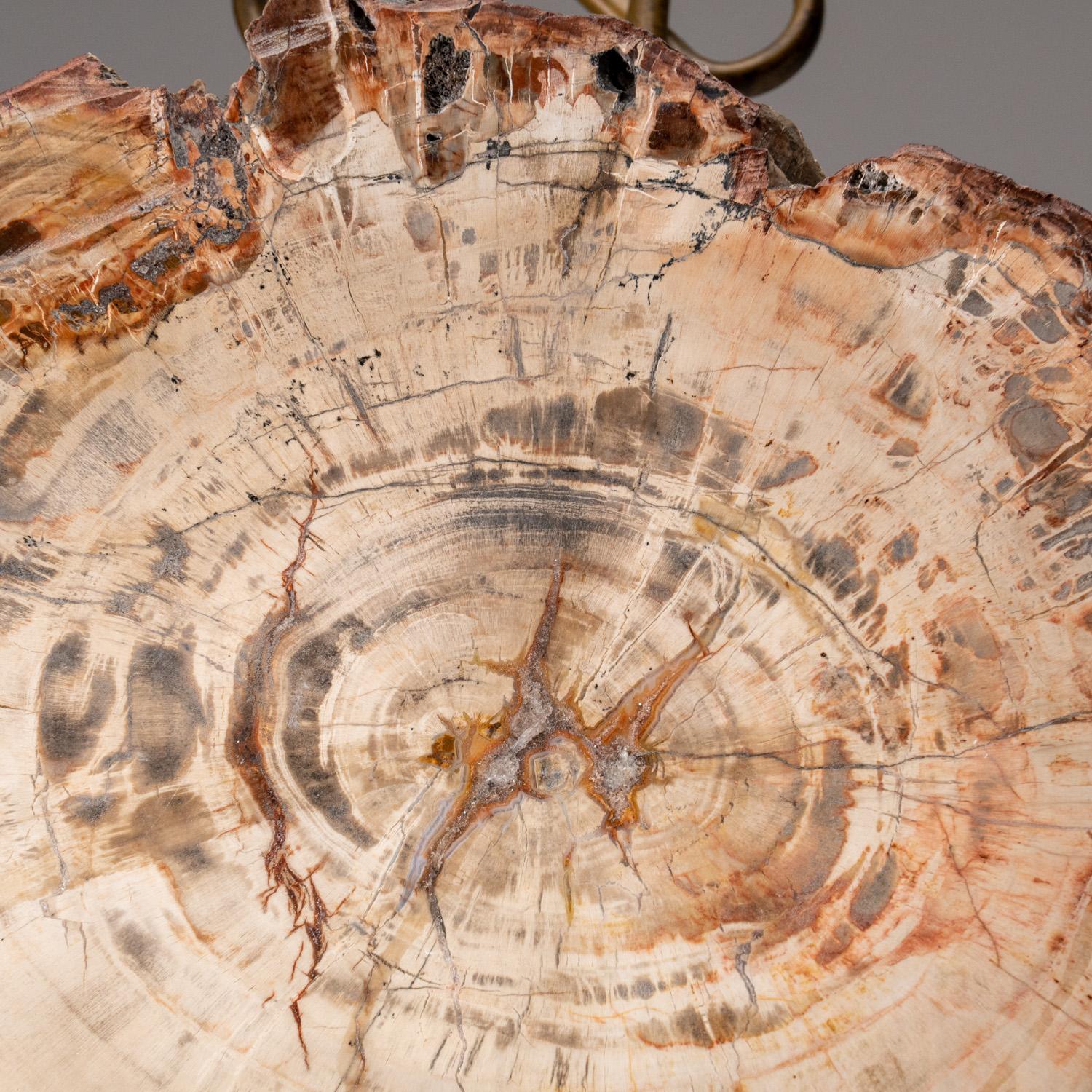 This beautiful hand polished petrified wood slice is sourced from Madagascar and comes with an elegant metal display stand. It has an amazing pattern with vibrant hues of brown, yellow, and orange. Fossilized Petrified Wood, which is also known as