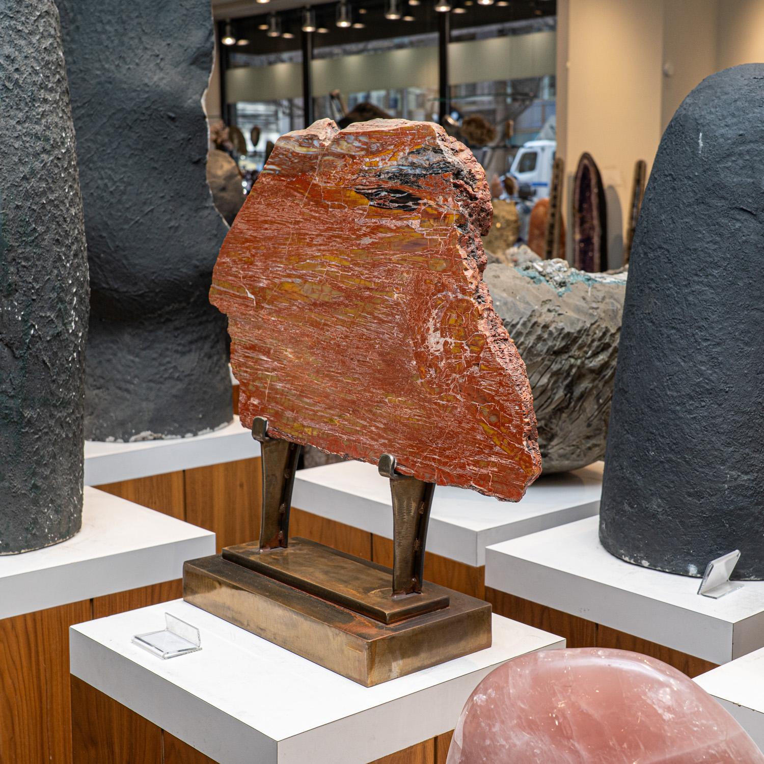 Questa bellissima fetta di legno pietrificato lucidato a mano proviene dal Madagascar ed è accompagnata da un elegante espositore in metallo. Presenta un motivo sorprendente con vivaci tonalità di marrone, giallo e arancione. Il legno pietrificato