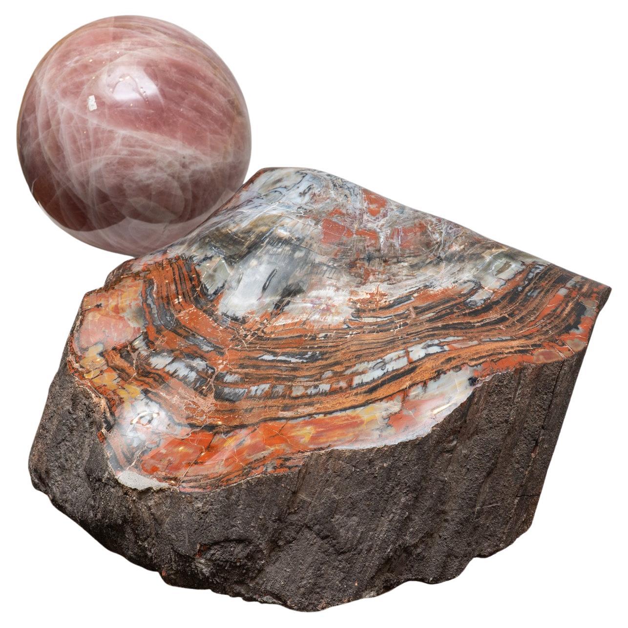 Questo grande e bellissimo ceppo di legno pietrificato lucidato a mano proviene dall'Arizona ed è lucidato a specchio. Presenta un motivo sorprendente con vivaci tonalità di marrone, giallo e arancione. Il legno pietrificato fossilizzato, noto anche
