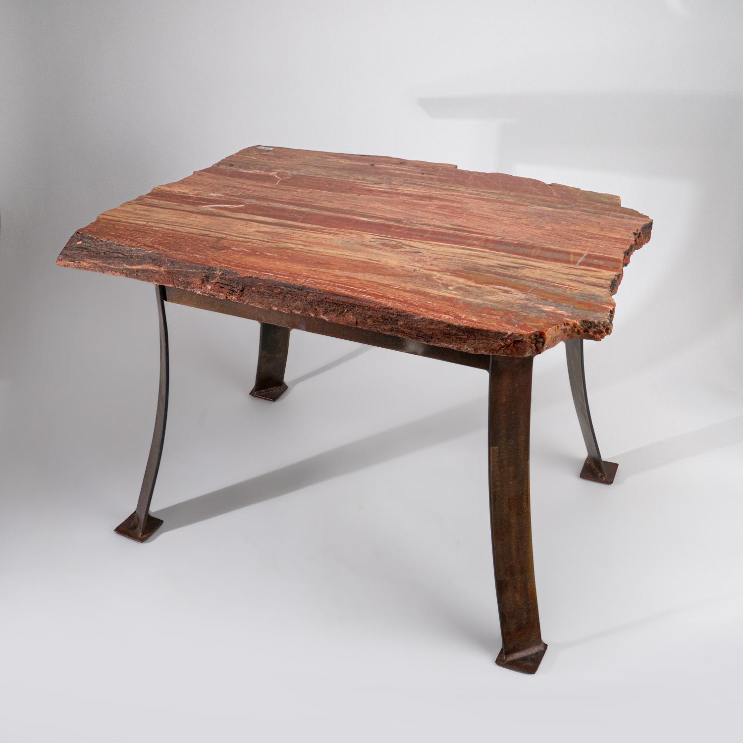 Malagasy Genuine Polished Petrified Wood Table (55.5 lbs) For Sale