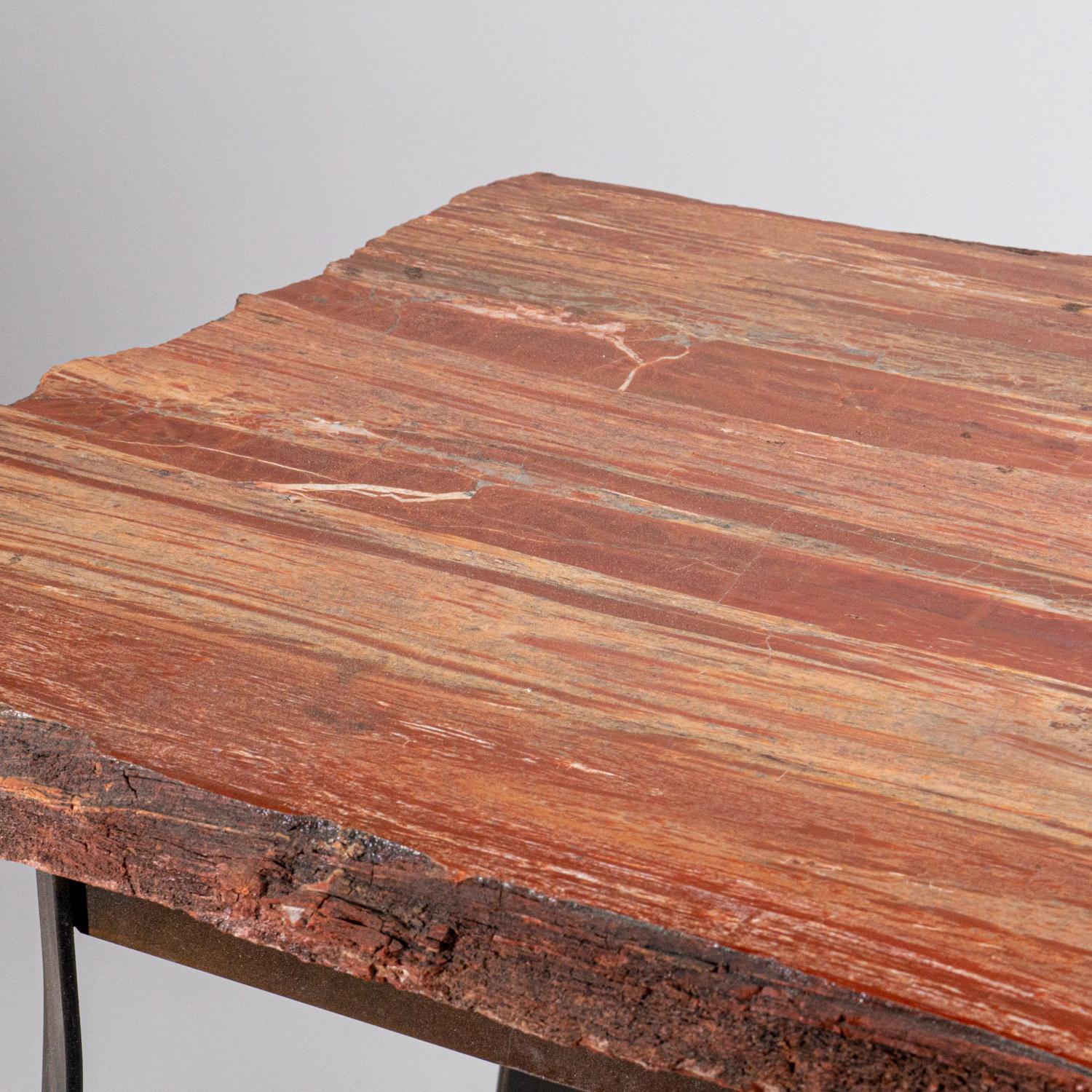 Malgache Table en bois pétrifié poli véritable (55,5 lbs) en vente