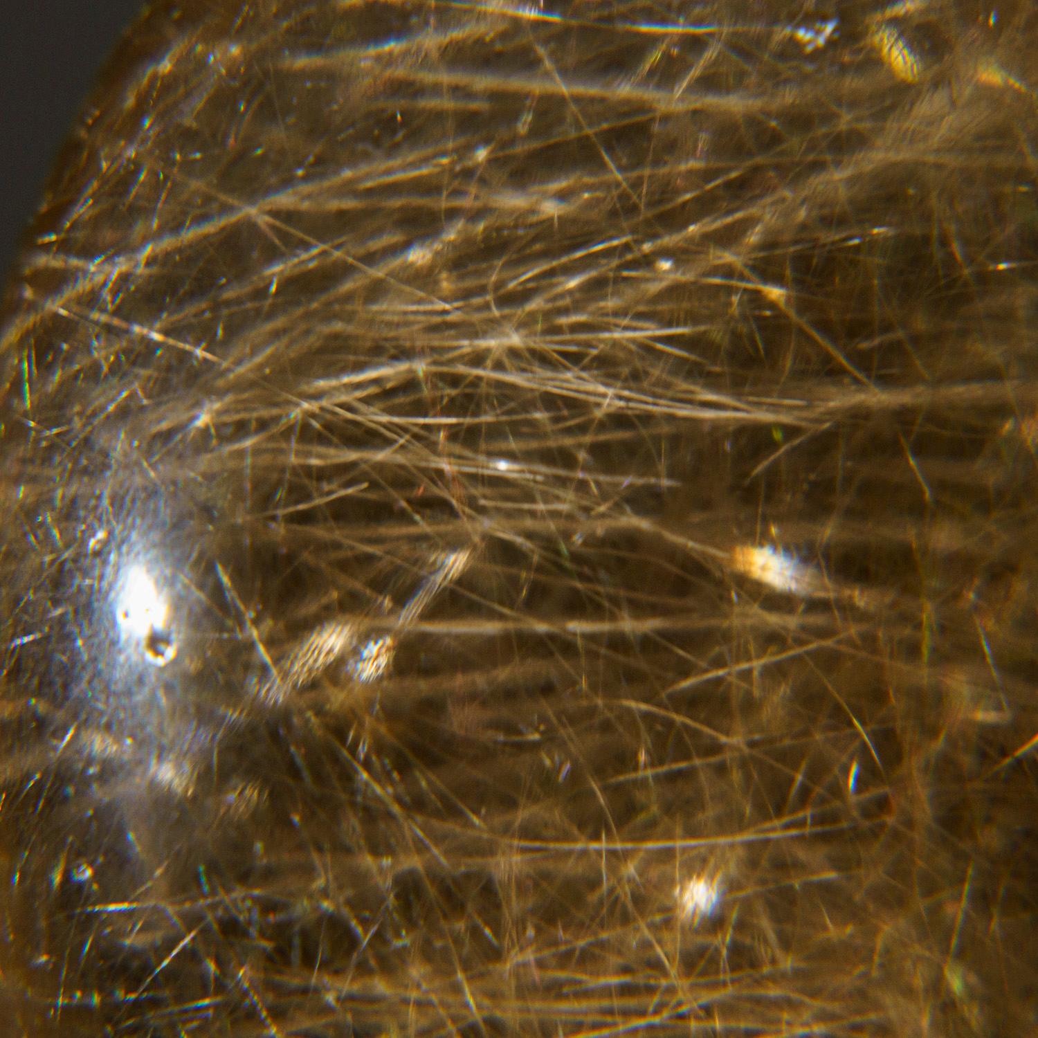 Other Genuine Polished Rutile Smoky Quartz Egg from Brazil (221.9 grams) For Sale