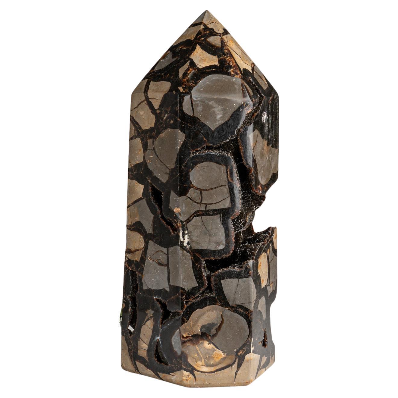 This AAA quality Septarian druzy point features an exposed area lined with shimmering quartz crystals, and boasts a hand-polished, highly reflective back. Boasting a stabilizing energy, Septarian is known to promote clear communication, deepen