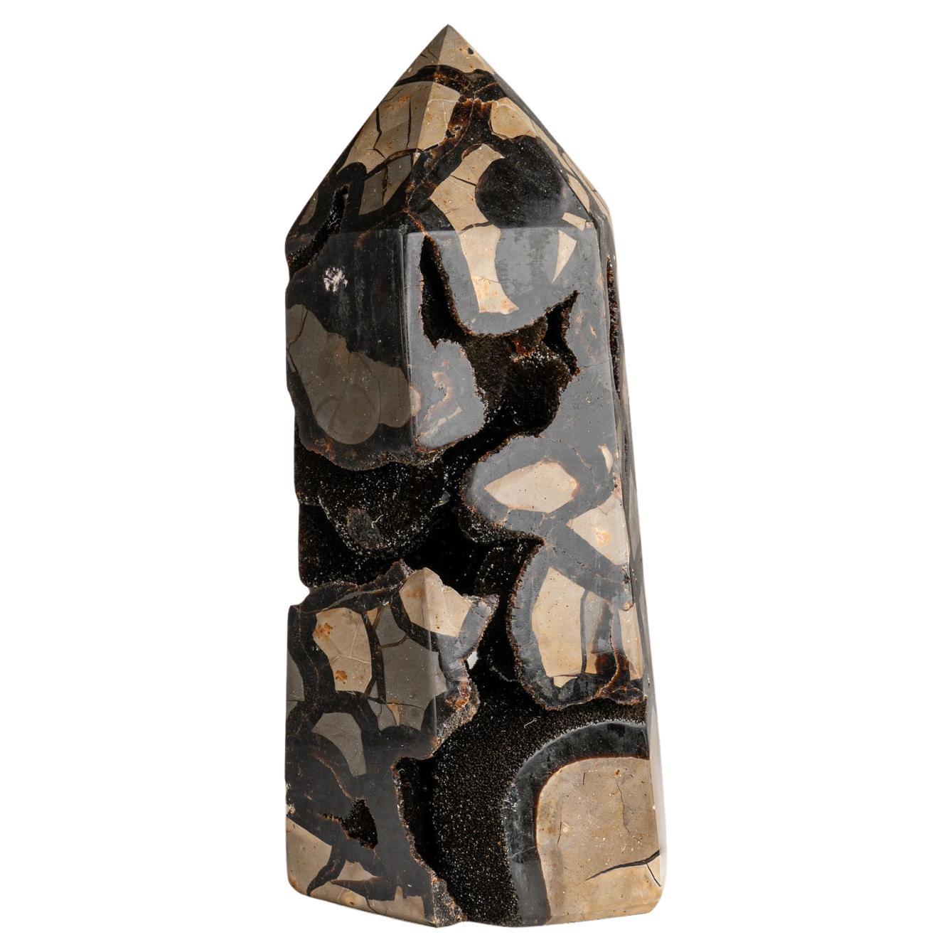 Genuine Polished Septarian Druzy Point from Madagascar '13 lbs'