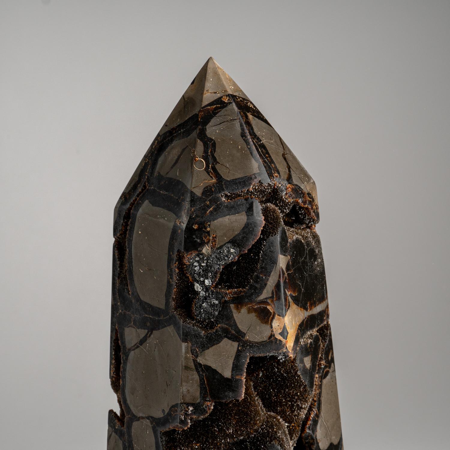 This AAA quality Septarian druzy point features an exposed area lined with shimmering quartz crystals, and boasts a hand-polished, highly reflective back. Boasting a stabilizing energy, Septarian is known to promote clear communication, deepen