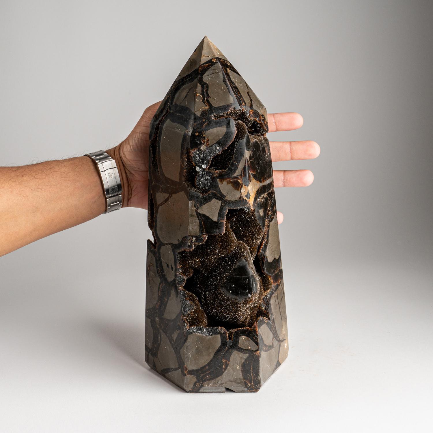 Genuine Polished Septarian Druzy Point from Madagascar '15 LBS' For Sale 1