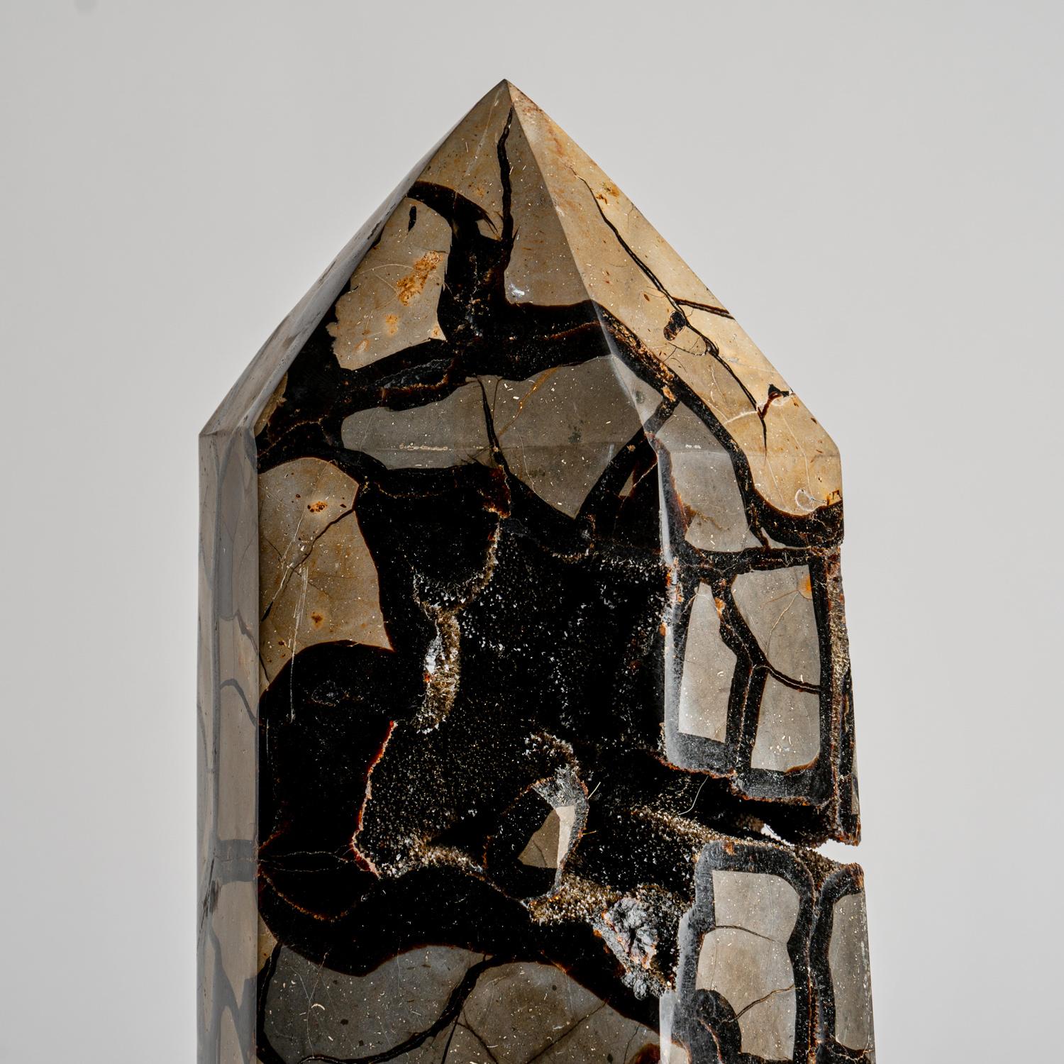 This AAA quality Septarian druzy point features an exposed area lined with shimmering quartz crystals, and boasts a hand-polished, highly reflective back. Boasting a stabilizing energy, Septarian is known to promote clear communication, deepen