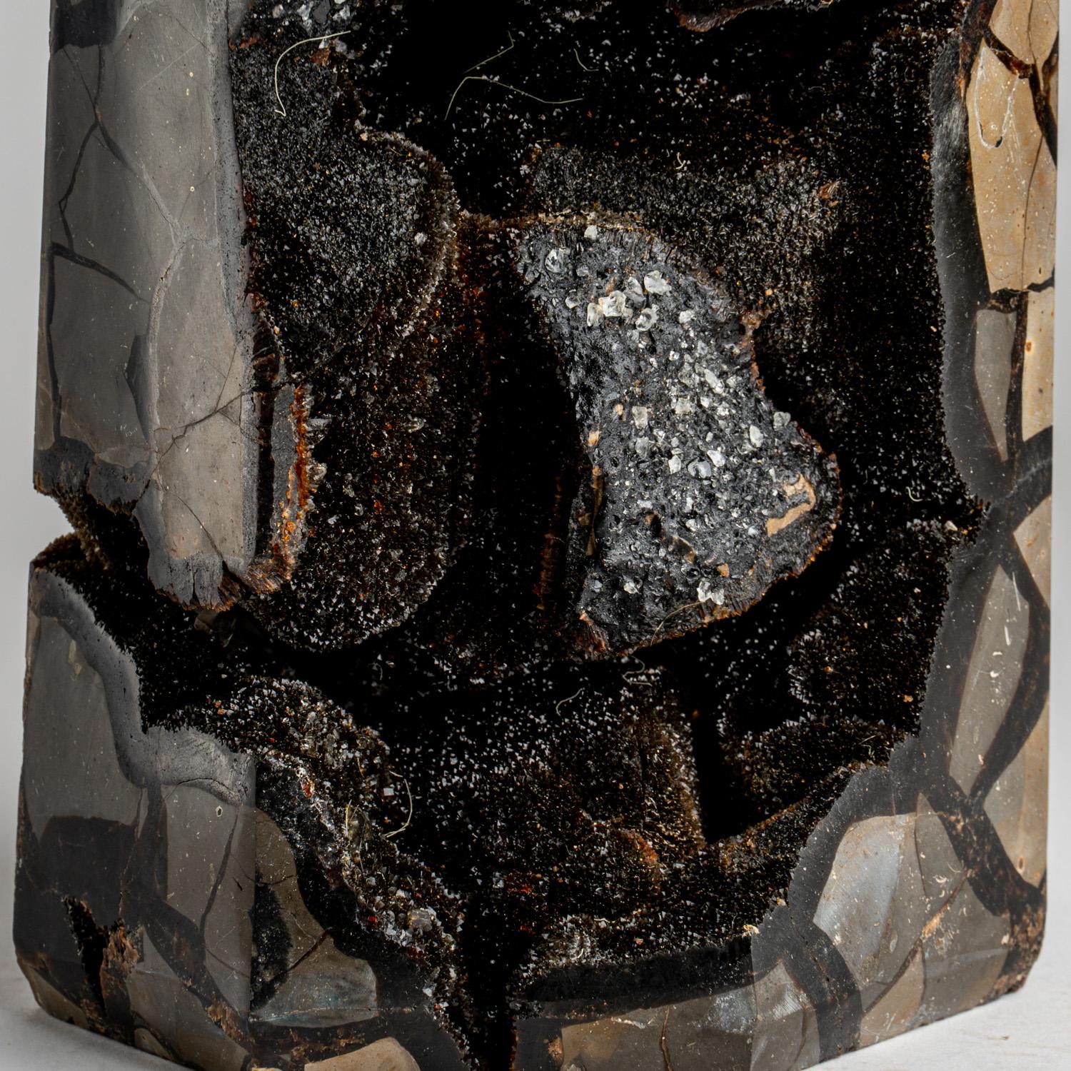 Genuina Punta de Druzy Septariana Pulida de Madagascar (22.5 libras) Cristal en venta