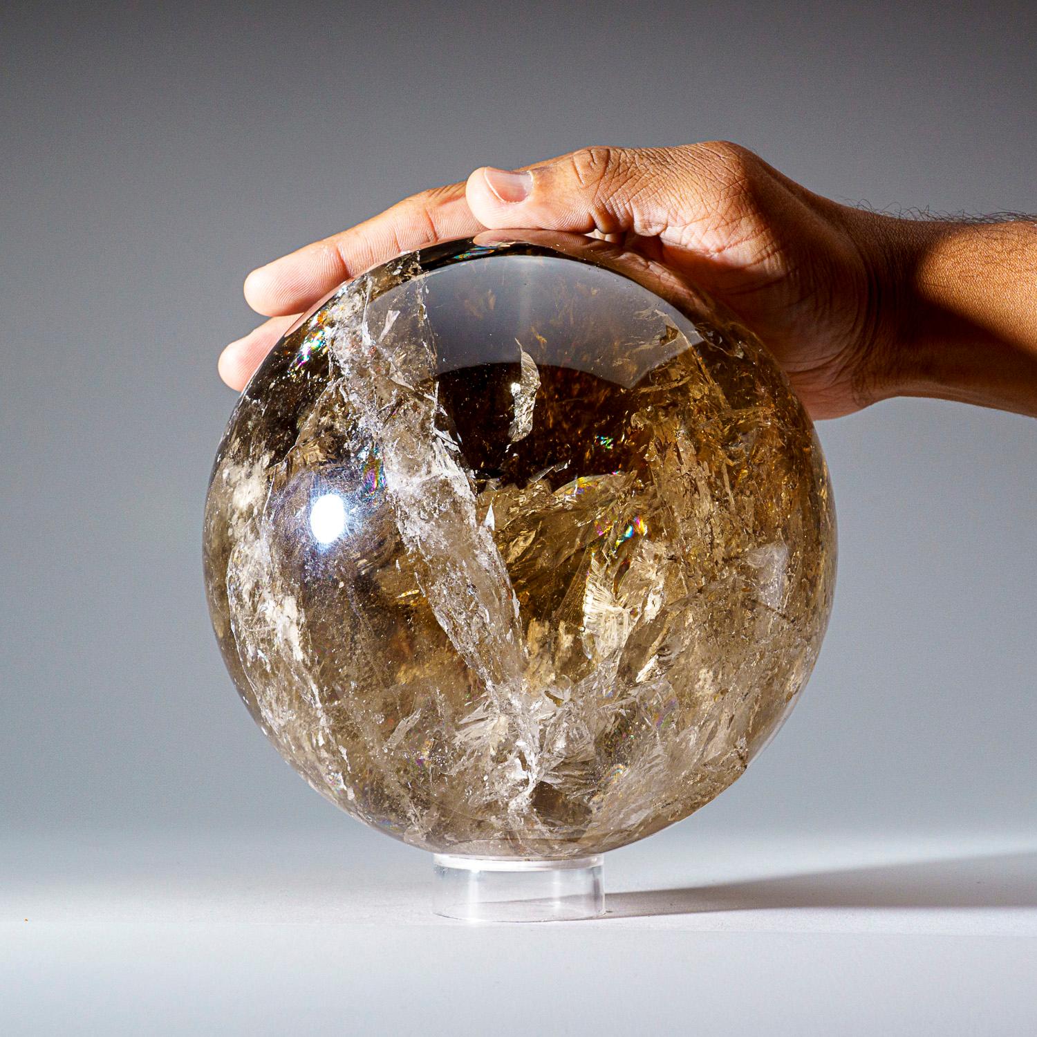 Brasiliano Sfera di quarzo fumé autentica e lucidata (7