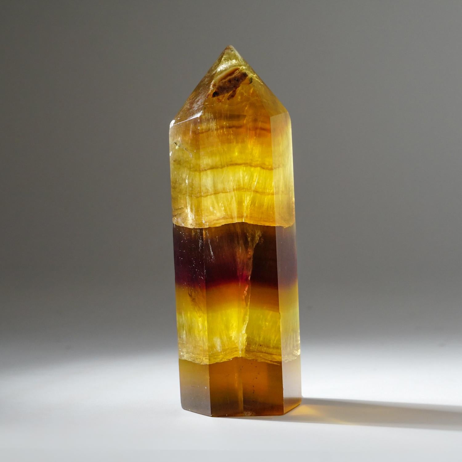 AAA quality, lustrous gem translucent yellow fluorite polished point. This specimen has bright rich honey yellow color and displays a base of ethereal gold adorned with subtle dark purple stripes. Once illuminated, its unique golden shimmer comes to