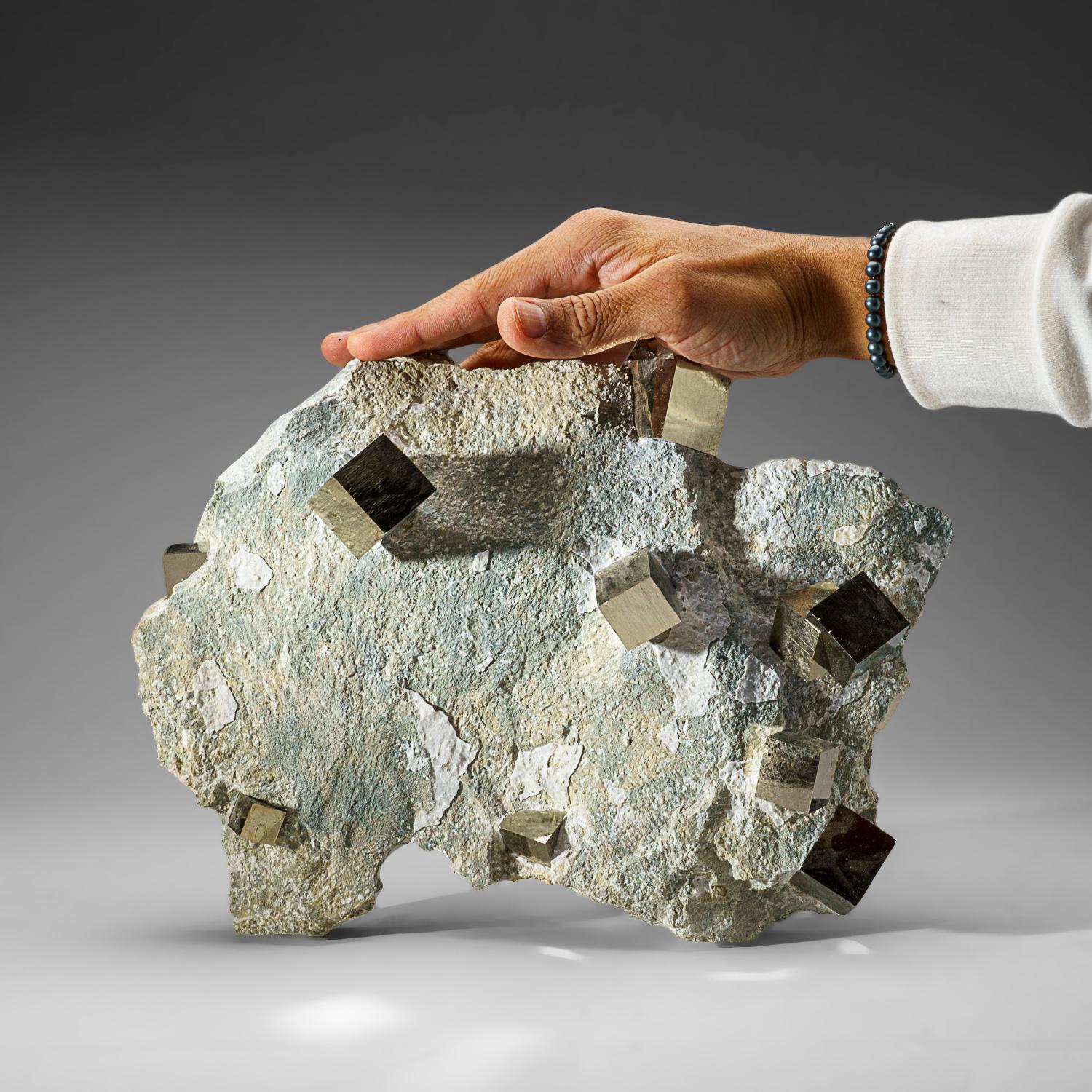 Spanish Genuine Pyrite Cubes on Basalt From Navajun, Spain (13 lbs) For Sale