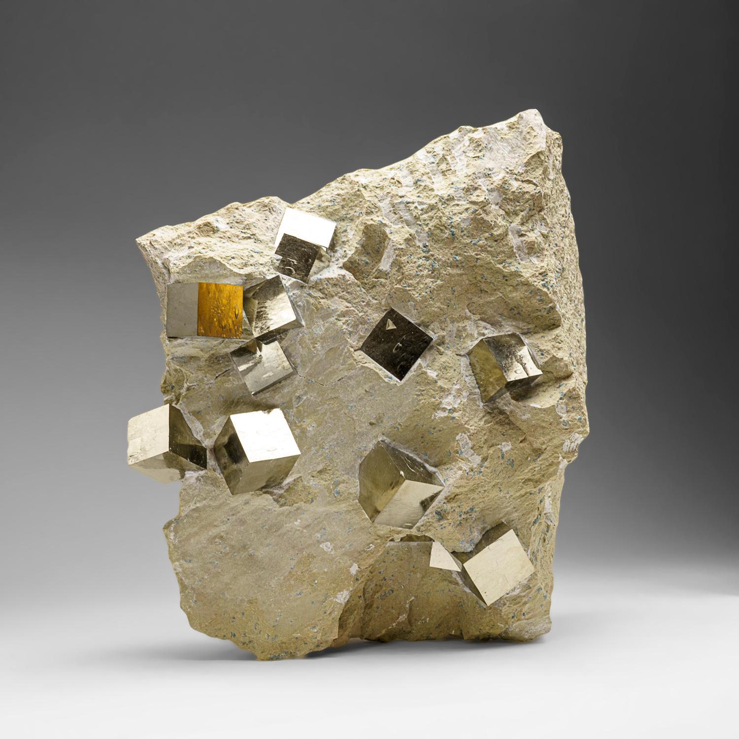 Genuine Pyrite Cubes on Basalt From Navajun, Spain (34.5 lbs) For Sale 1