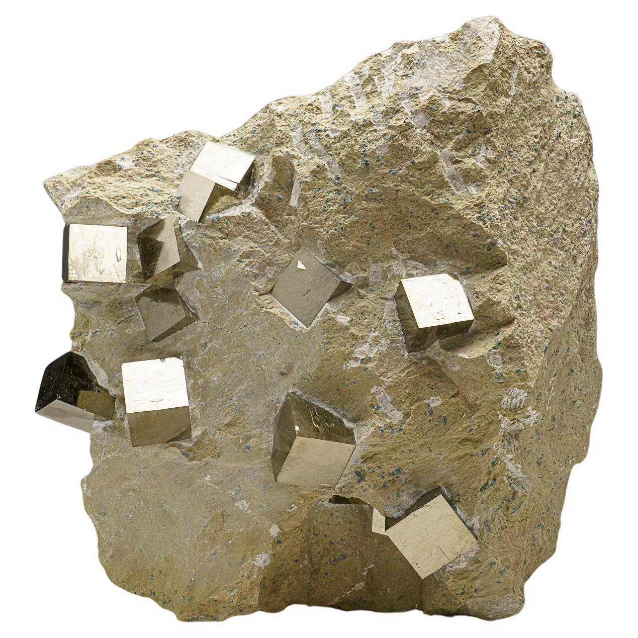 Genuine Pyrite Cubes on Basalt From Navajun, Spain (34.5 lbs) For Sale