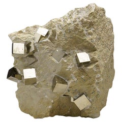 Cubes de pyrite véritables sur basalte de Navajun, Espagne (34.5 lbs)
