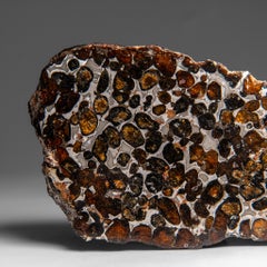 Genuine Sericho Pallasite Meteorite (394.3 grams)