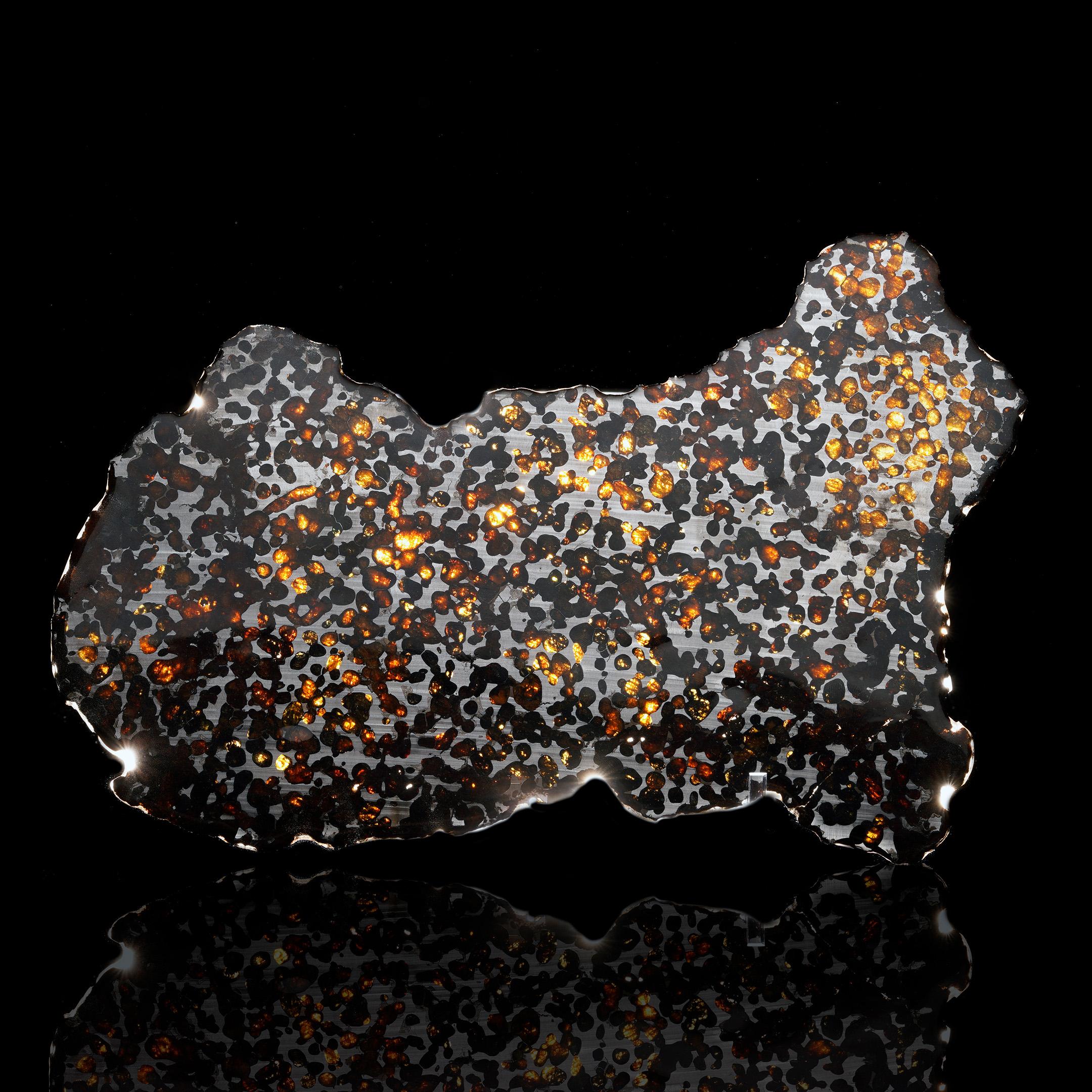 Esta luminosa rodaja de meteorito pallasita Sericho ofrece una cautivadora visión del sistema solar primitivo. Con una antigüedad aproximada de 4.500 millones de años, este meteorito de hierro y piedra fue descubierto en Kenia y reconocido