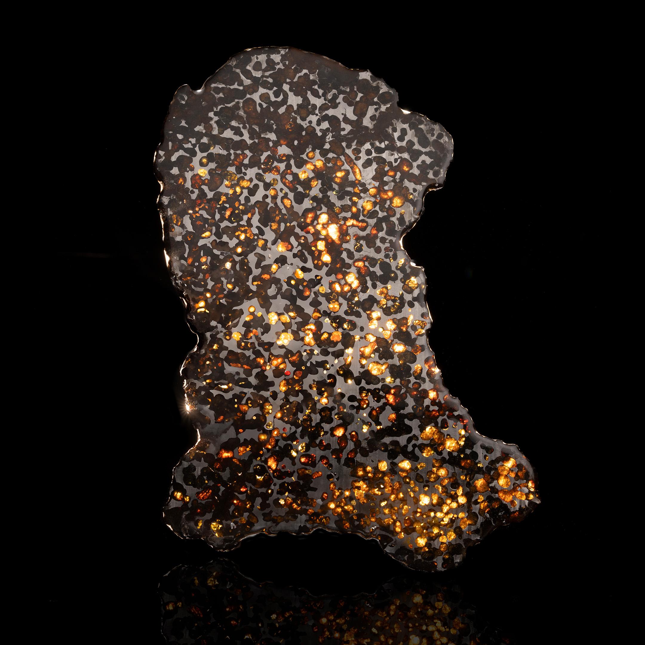 Questa luminosa fetta di meteorite pallasite di Sericho offre un'affascinante visione degli albori del sistema solare. Risalente a circa 4,5 miliardi di anni fa, questo meteorite di pietra e ferro è stato scoperto in Kenya e riconosciuto