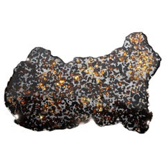 Meteorito de pallasita Sericho auténtico