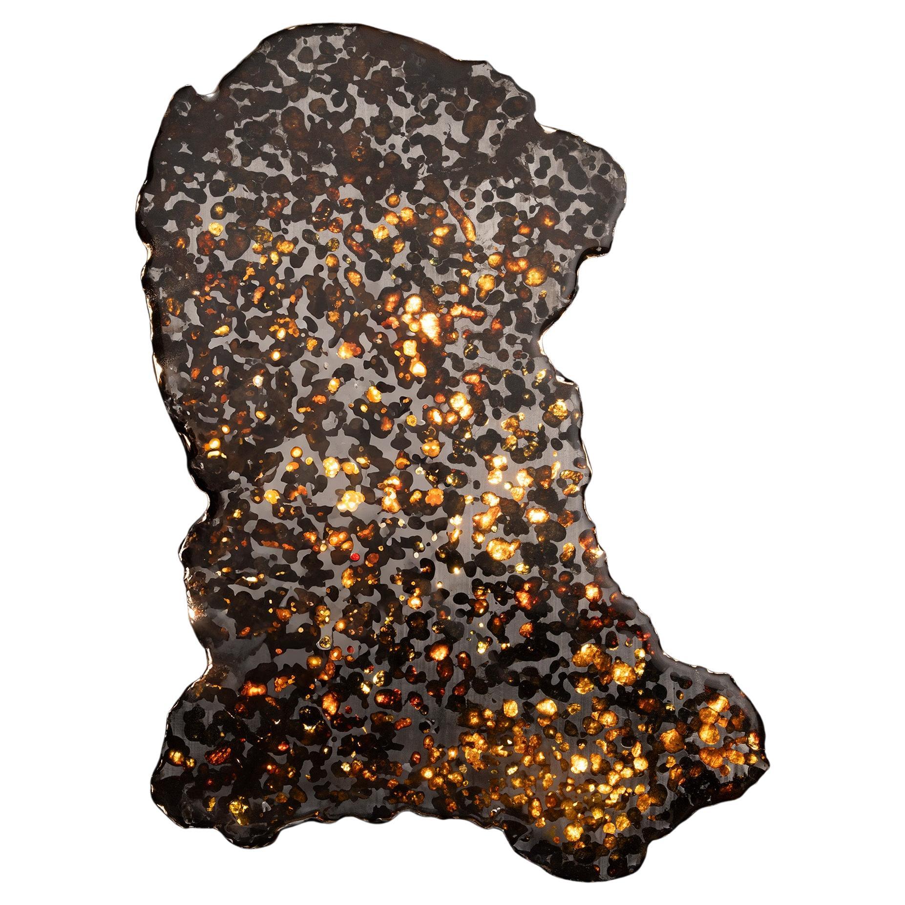 Autentica Meteorite Pallasite di Sericho