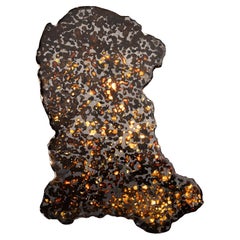 Véritable météorite pallasite de Sericho