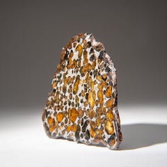Sericho Pallasite Meteorit-Labor (110 Gramm)