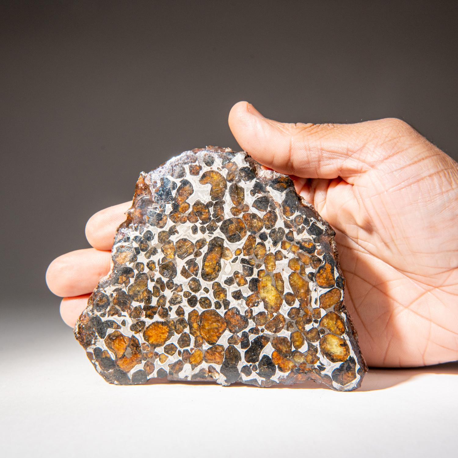 Kenyan Genuine Sericho Pallasite Meteorite Slab (110 grams)