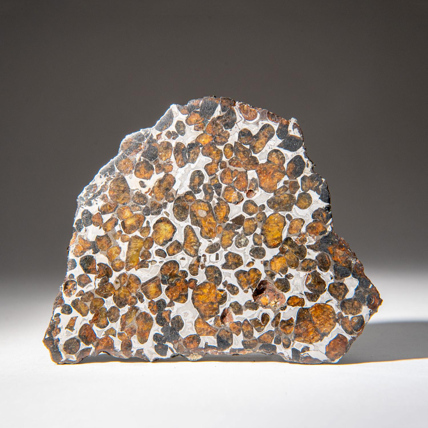 Genuine Sericho Pallasite Meteorite Slab (110 grams) In Excellent Condition In New York, NY
