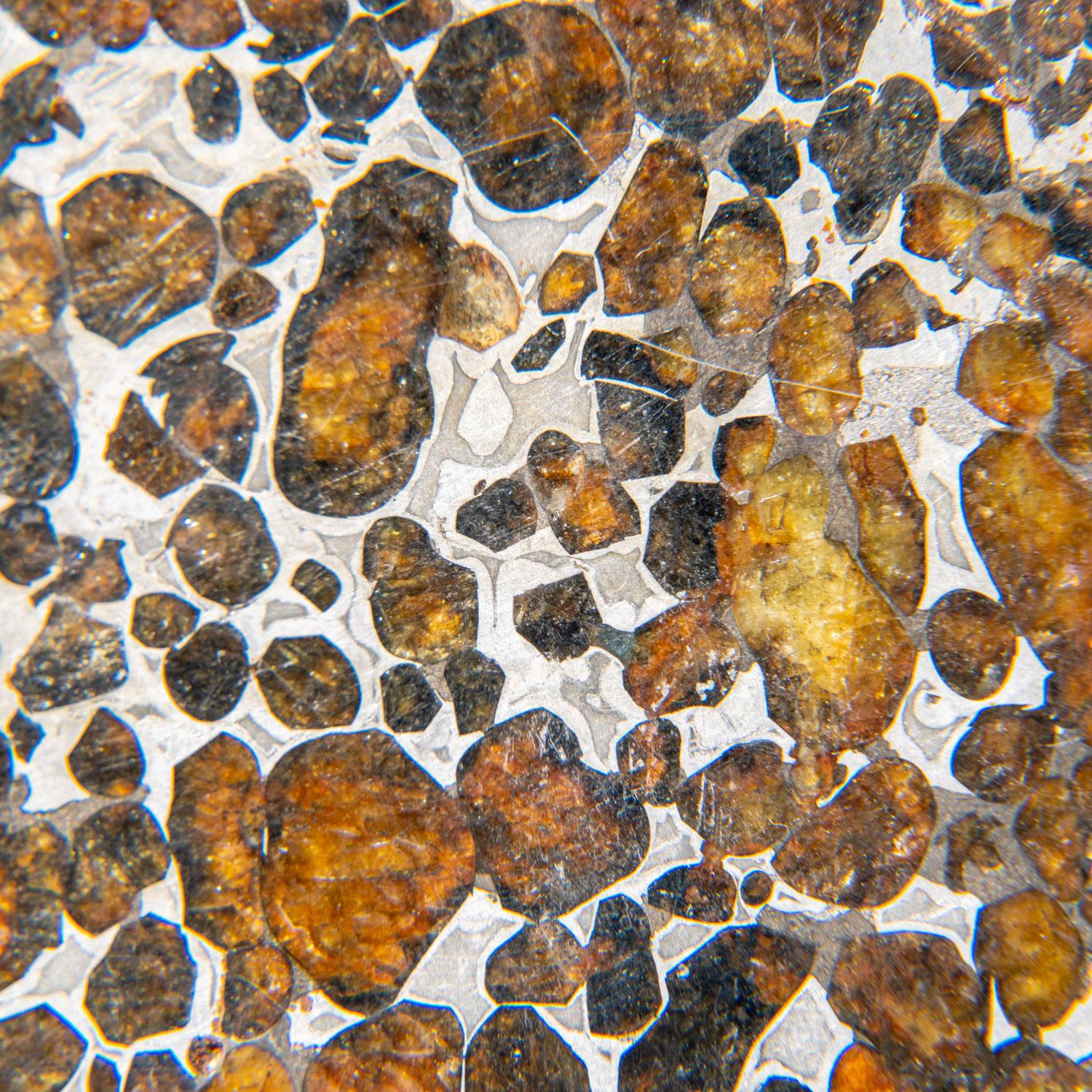 18th Century and Earlier Genuine Sericho Pallasite Meteorite Slab (110 grams)