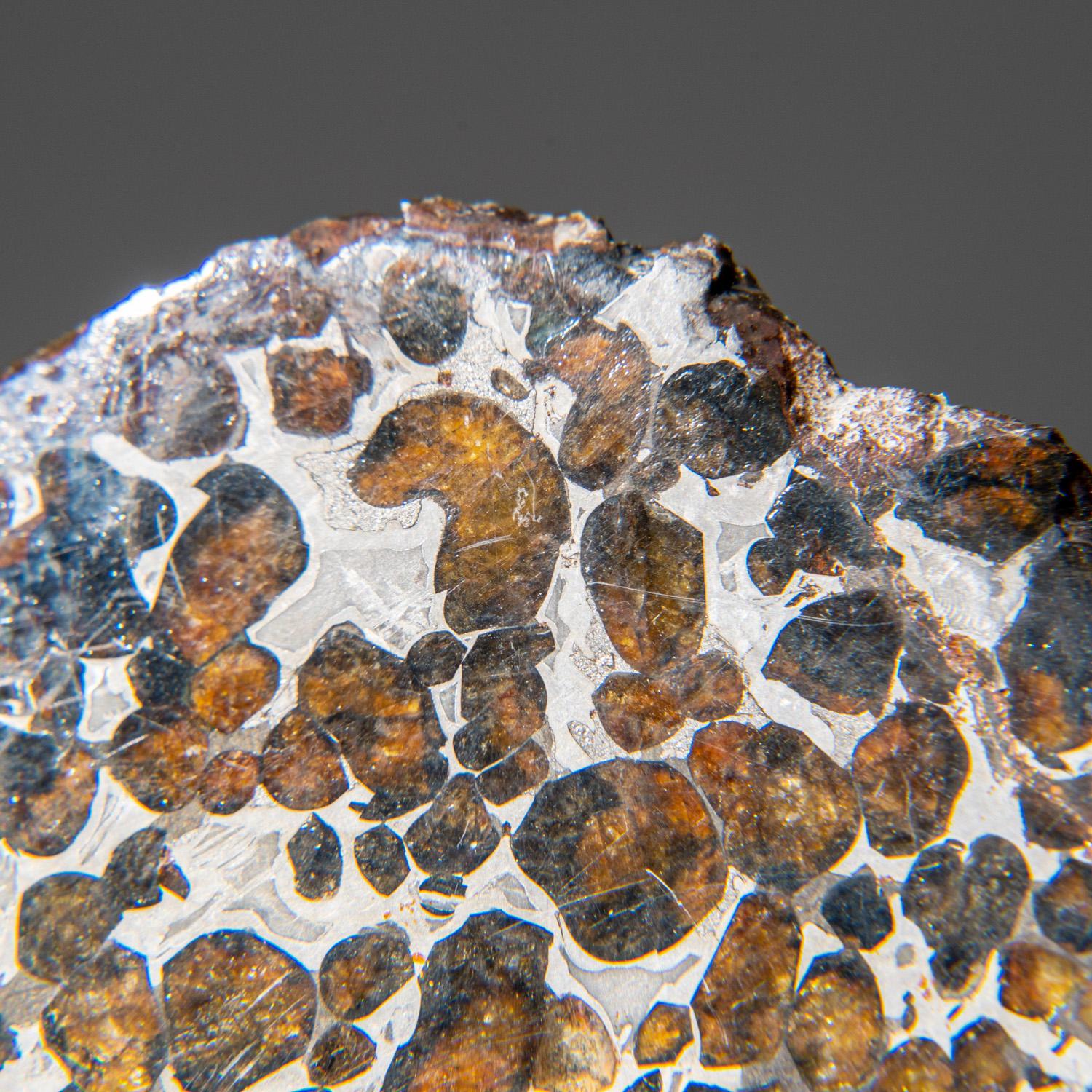 Other Genuine Sericho Pallasite Meteorite Slab (110 grams)