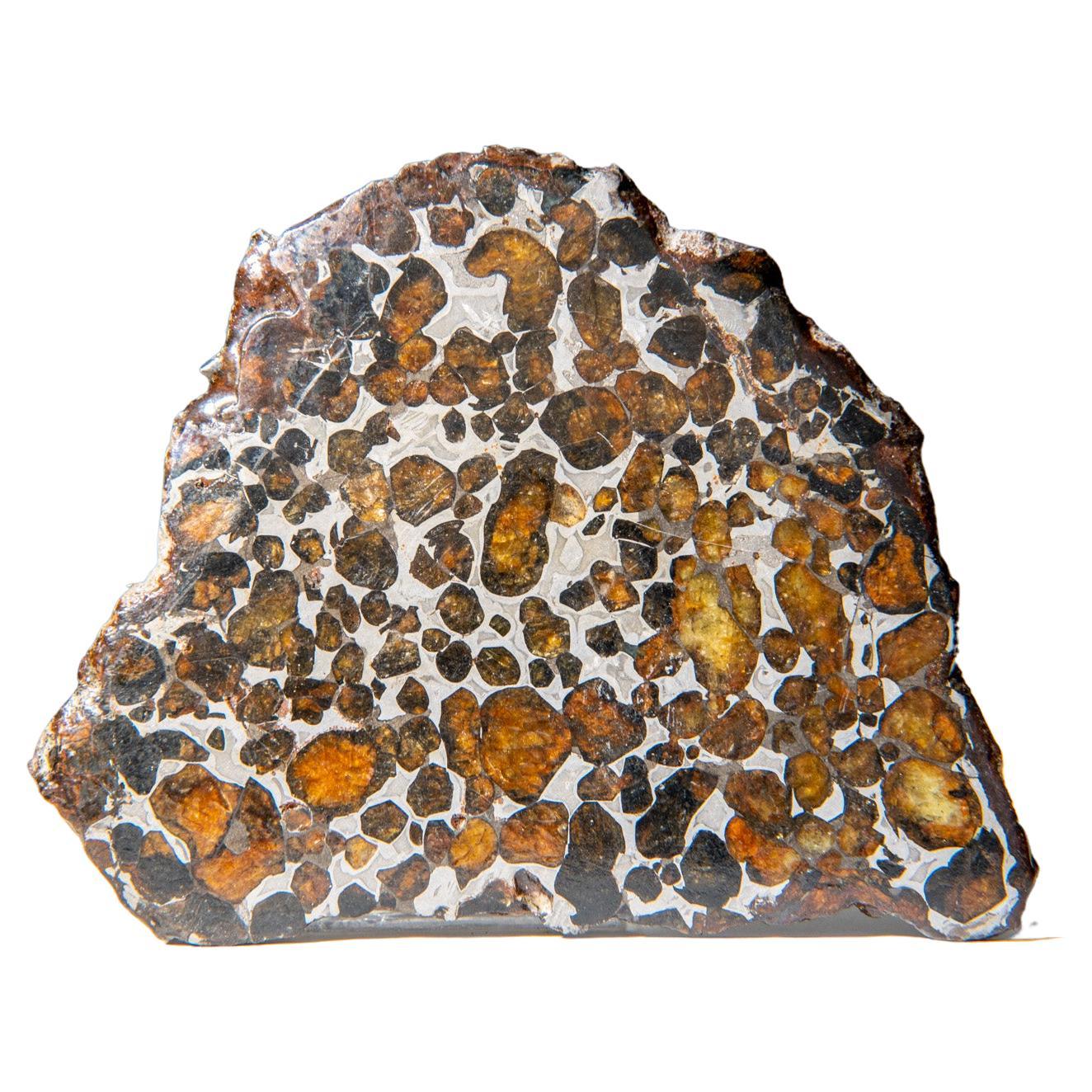 Genuine Sericho Pallasite Meteorite Slab (110 grams)