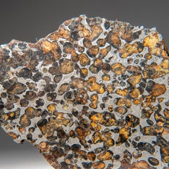 Genuine Sericho Pallasite Meteorite Slab (2.45 lbs)