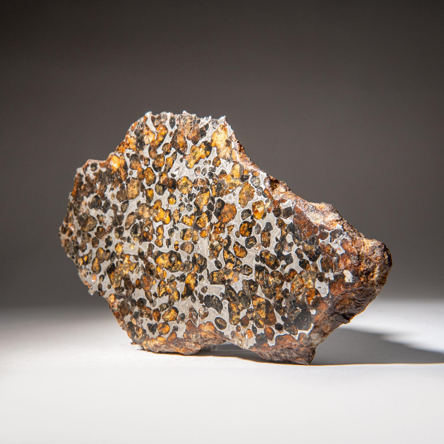 Kenyan Genuine Sericho Pallasite Meteorite Slab (2.45 lbs) For Sale