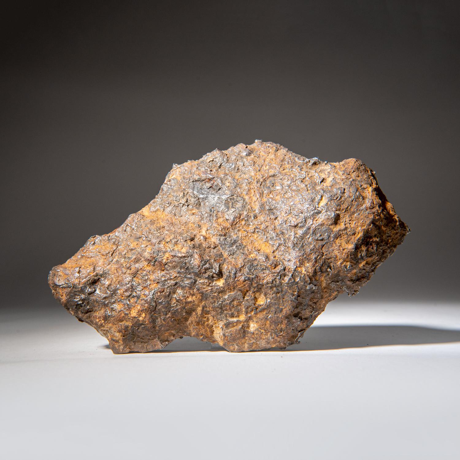 XVIIIe siècle et antérieur série Sericho Pallasite plaque de météorite véritable (2,45 lbs) en vente
