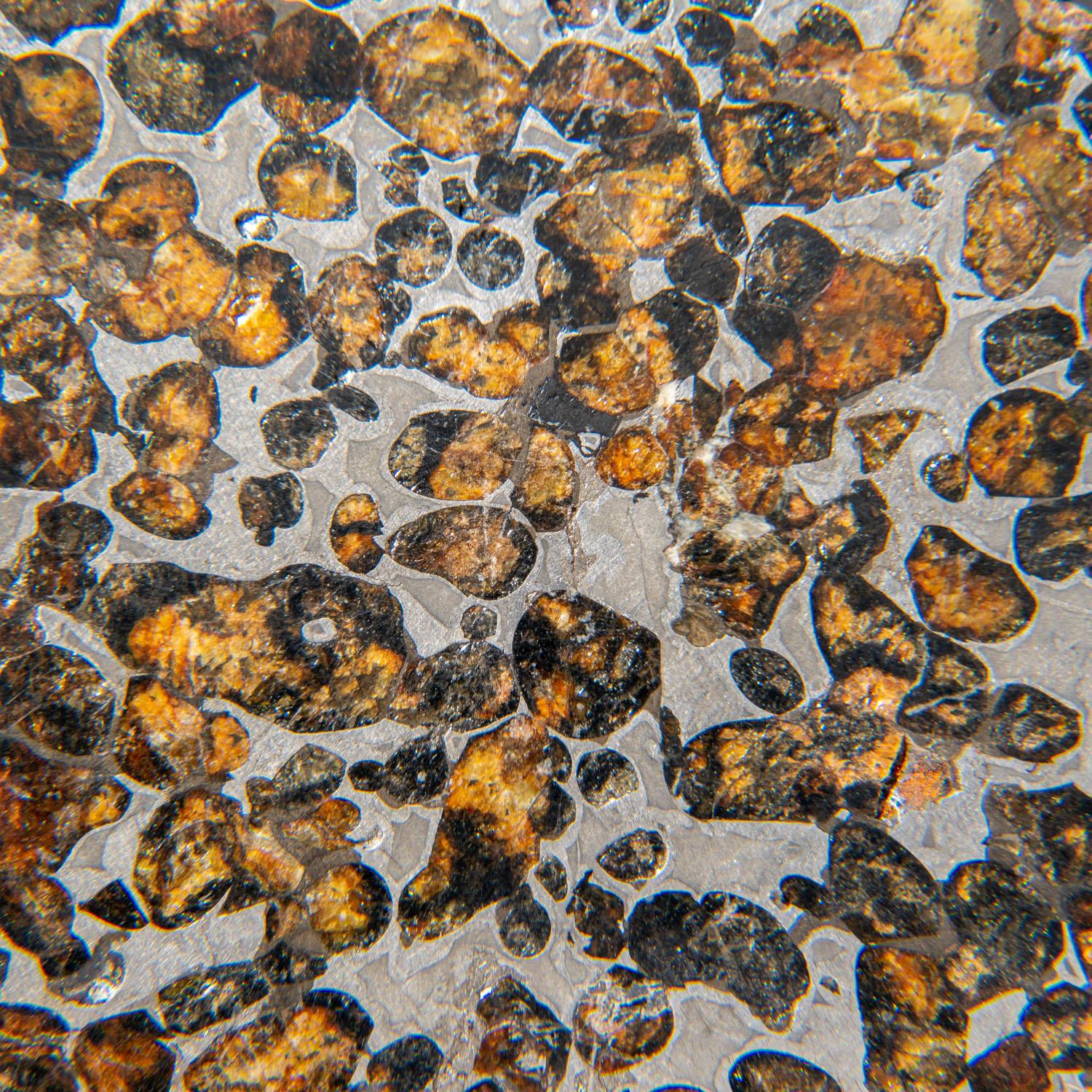18th Century and Earlier Genuine Sericho Pallasite Meteorite Slab (2.45 lbs) For Sale