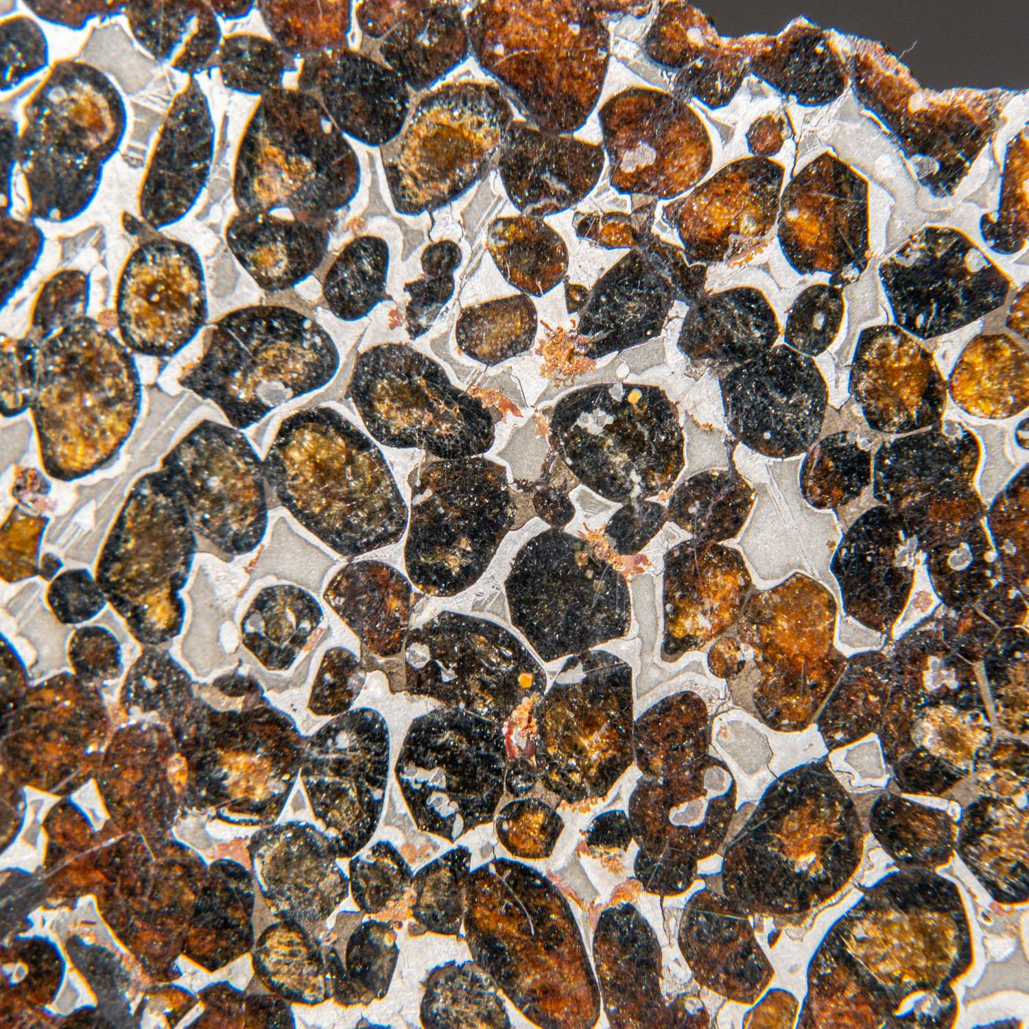 In 2016, large masses of the Sericho pallasite meteorite were acquired from villagers in Isiolo County, Kenya, marking its formal discovery. The olivine crystals range in colour from emerald green to orange and possess rounded shapes. The metal-rich