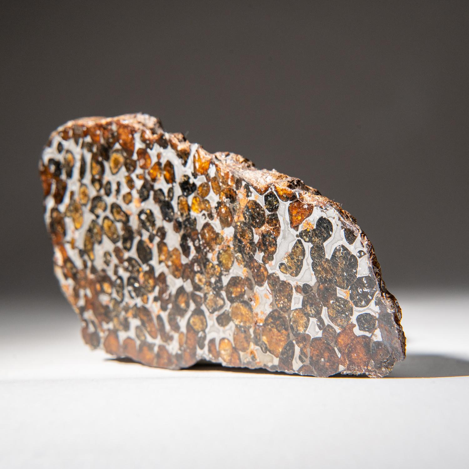 Genuine Sericho Pallasite Meteorite Slab (394.3 grams) In Excellent Condition For Sale In New York, NY