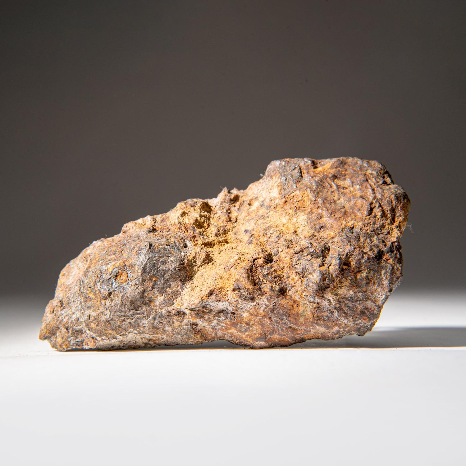 18th Century and Earlier Genuine Sericho Pallasite Meteorite Slab (394.3 grams) For Sale