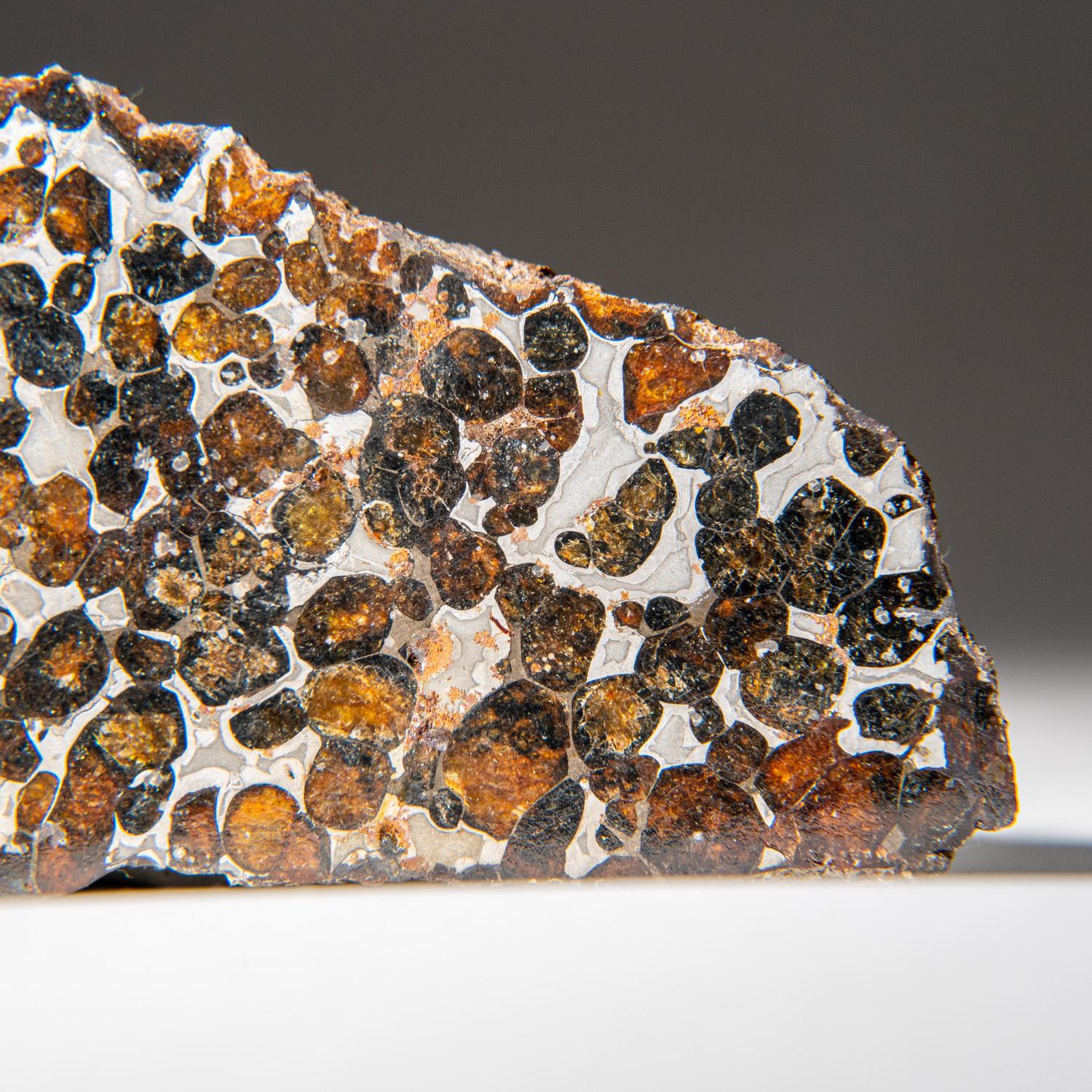 Autre Un véritable dalle de météorite Sericho en pallasite (394.3 grammes) en vente