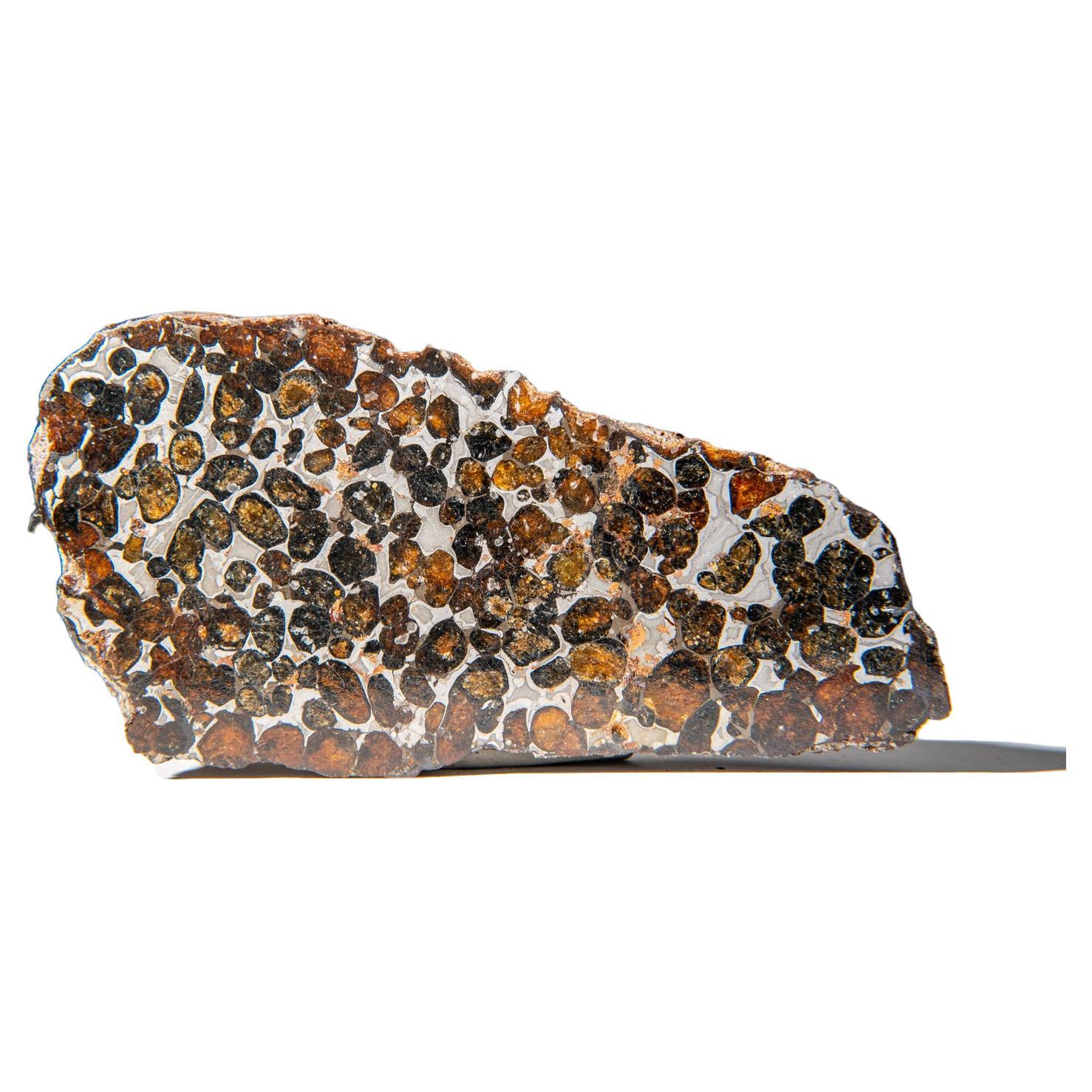Un véritable dalle de météorite Sericho en pallasite (394.3 grammes) en vente