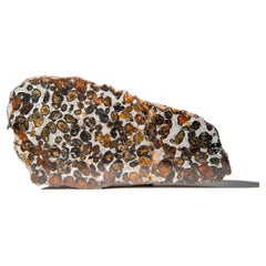 Un véritable dalle de météorite Sericho en pallasite (394.3 grammes)