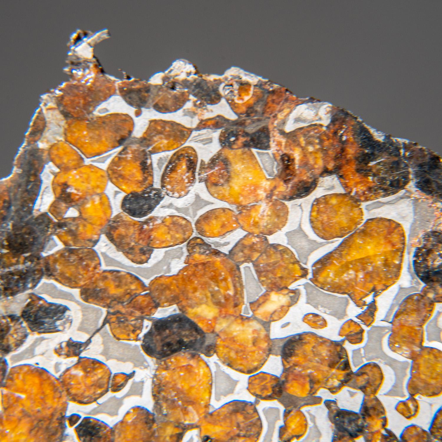 In 2016, large masses of the Sericho pallasite meteorite were acquired from villagers in Isiolo County, Kenya, marking its formal discovery. The olivine crystals range in colour from emerald green to orange and possess rounded shapes. The metal-rich