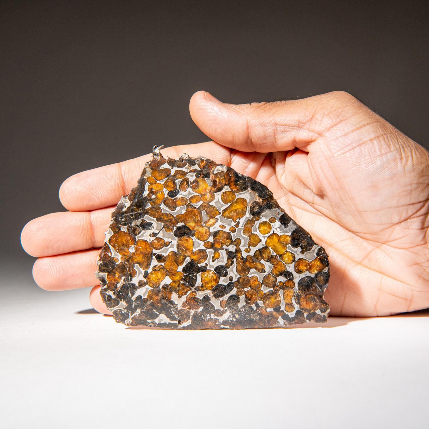 Kenyan Genuine Sericho Pallasite Meteorite Slab (62.9 grams)