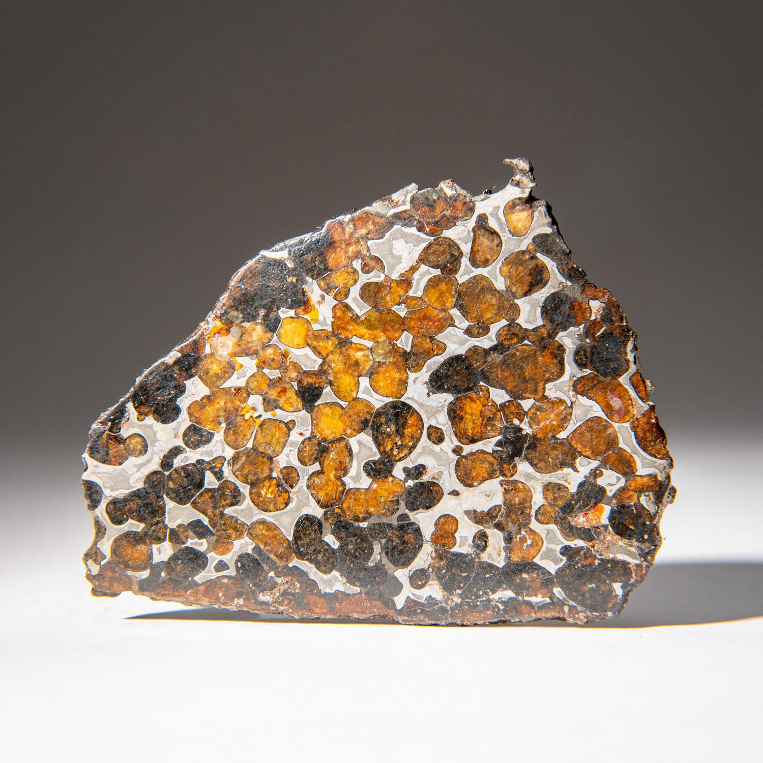 Genuine Sericho Pallasite Meteorite Slab (62.9 grams) In Excellent Condition In New York, NY