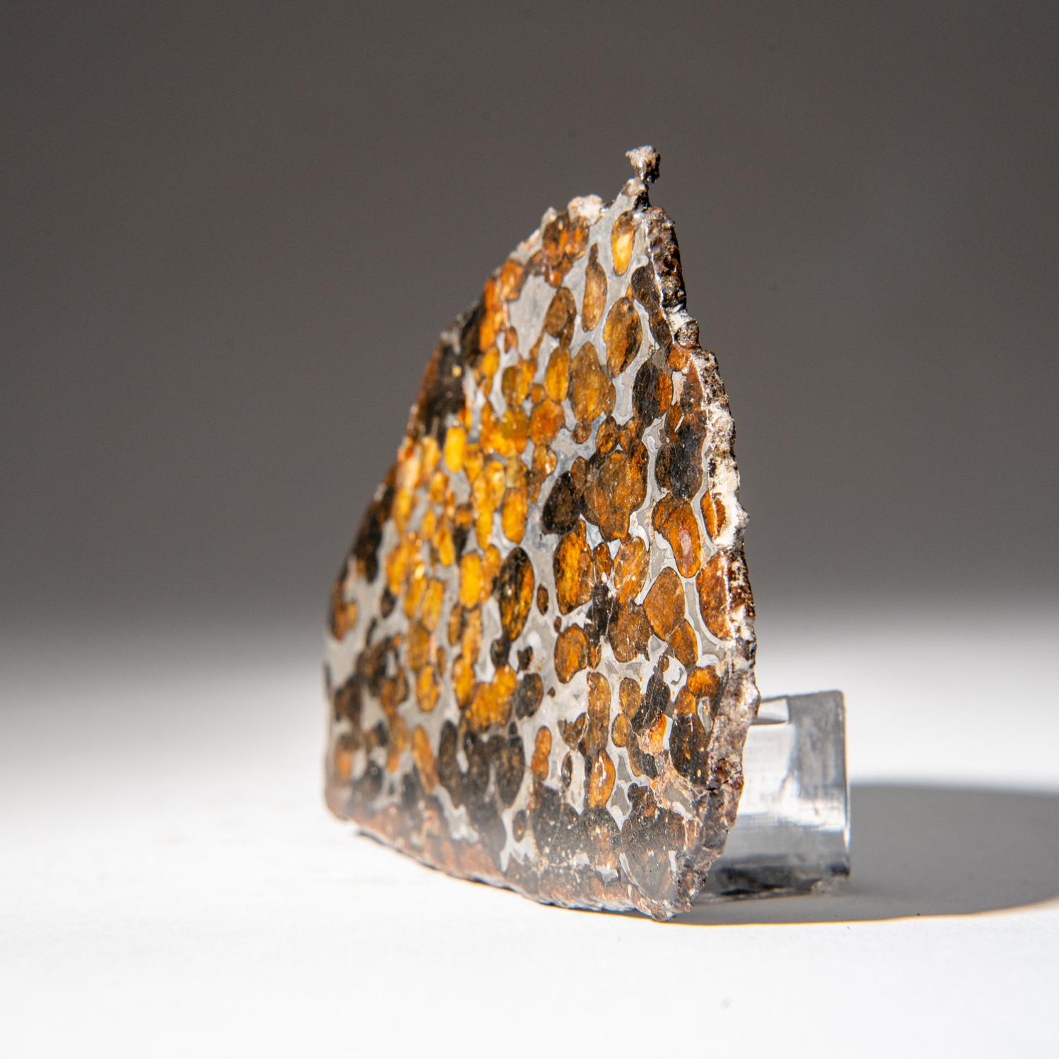 18th Century and Earlier Genuine Sericho Pallasite Meteorite Slab (62.9 grams)