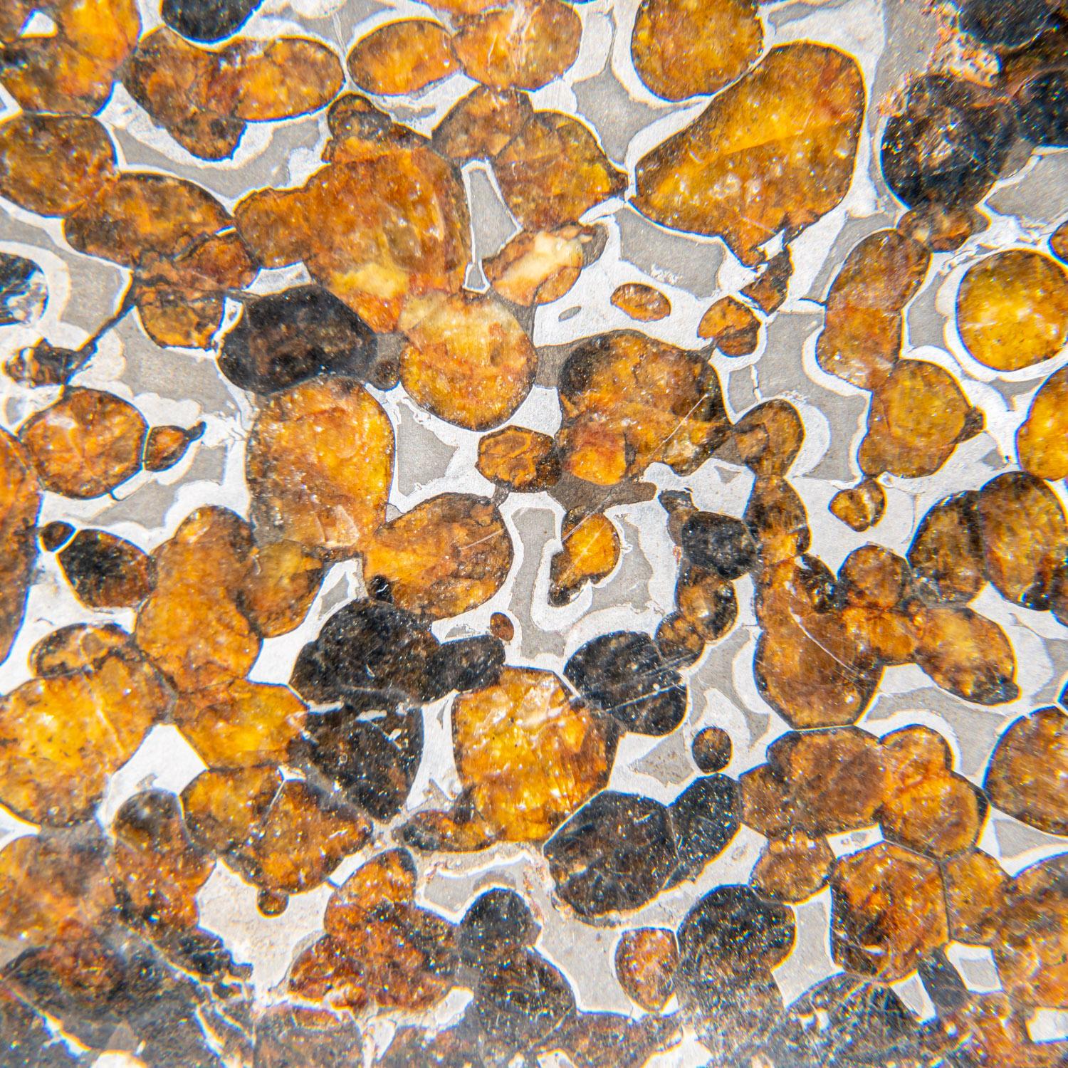 Other Genuine Sericho Pallasite Meteorite Slab (62.9 grams)