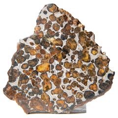 Genuine Sericho Pallasite Meteorite Slab (83.3 grams)