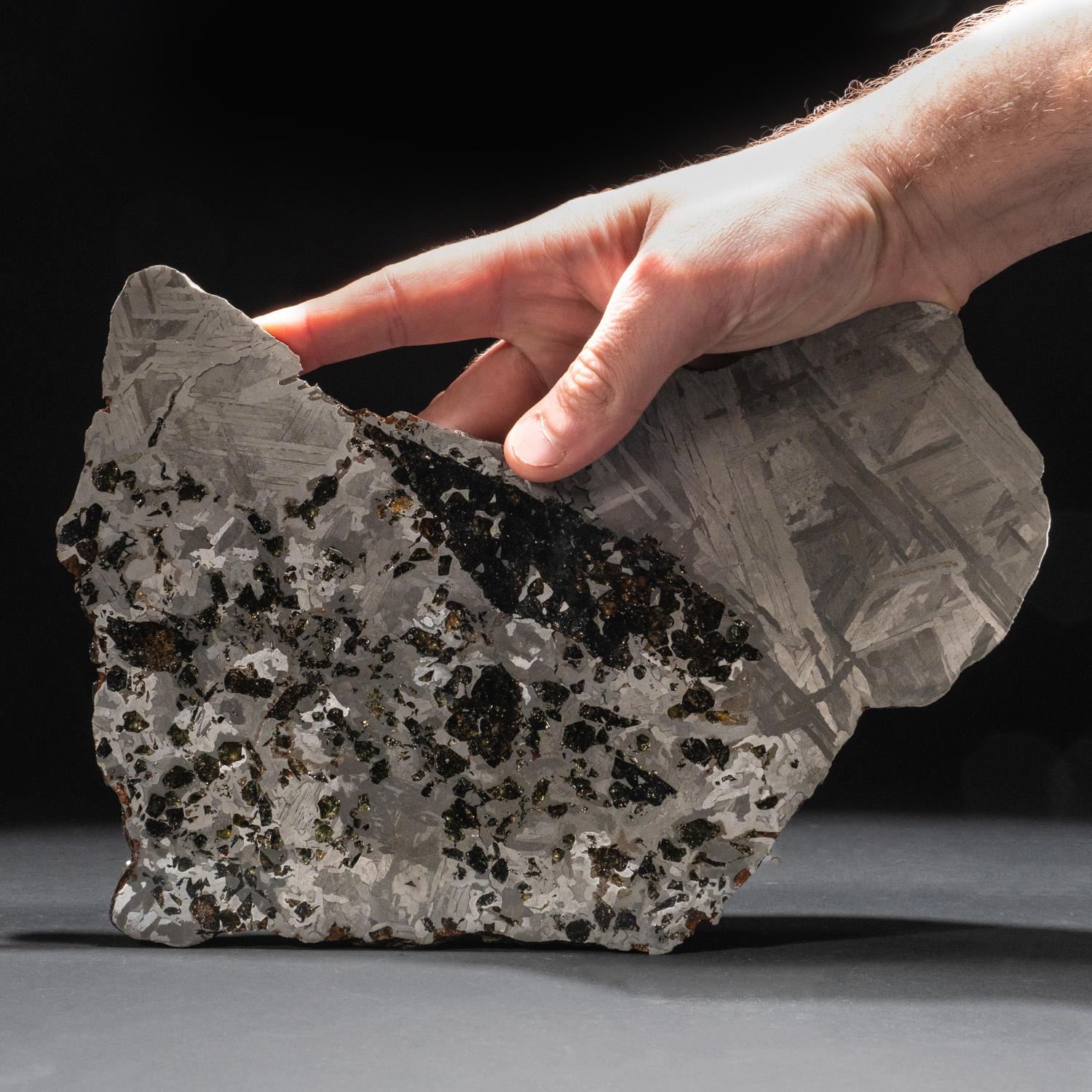 Echte Seymchan Pallasit Meteoritenplatte (1,5 lbs) (Russisch) im Angebot